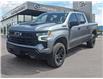2024 Chevrolet Silverado 1500 LT Trail Boss (Stk: AM6369) in Thunder Bay - Image 1 of 24