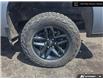 2024 Chevrolet Silverado 1500 LT Trail Boss (Stk: AM6369) in Thunder Bay - Image 6 of 24