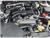 2024 Subaru Outback Touring in Ottawa - Image 8 of 14