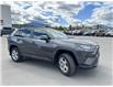 2020 Toyota RAV4 XLE (Stk: C087420M) in Cranbrook - Image 7 of 20