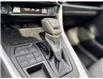 2020 Toyota RAV4 XLE (Stk: C087420M) in Cranbrook - Image 15 of 20
