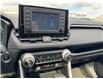 2020 Toyota RAV4 XLE (Stk: C087420M) in Cranbrook - Image 16 of 20