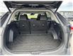 2020 Toyota RAV4 XLE (Stk: C087420M) in Cranbrook - Image 18 of 20