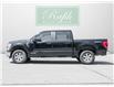 2021 Ford F-150 XLT (Stk: P1069) in Mississauga - Image 5 of 11
