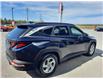 2022 Hyundai Tucson Preferred (Stk: 9167B) in Cornwall - Image 5 of 29