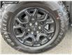 2026 Ford F-150 XLT (Stk: TT407) in Kamloops - Image 6 of 25