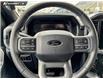 2026 Ford F-150 XLT (Stk: TT407) in Kamloops - Image 14 of 25