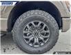 2026 Ford F-150 Tremor (Stk: 28648) in Dartmouth - Image 7 of 24