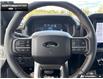 2026 Ford F-150 Tremor (Stk: 6F174604) in Brantford - Image 14 of 25