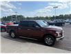 2017 Ford F-150 XLT (Stk: 24857) in Pembroke - Image 8 of 24