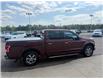 2017 Ford F-150 XLT (Stk: 24857) in Pembroke - Image 9 of 24