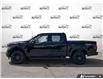 2026 Ford F-150 XLT (Stk: AFL260353) in Hamilton - Image 3 of 19