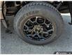2026 Ford F-150 XLT (Stk: AFL260353) in Hamilton - Image 6 of 19