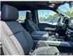 2026 Ford F-150 XLT (Stk: AFL260353) in Hamilton - Image 16 of 19