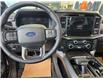 2026 Ford F-150 Platinum (Stk: T61213) in Hague - Image 10 of 13
