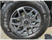 2026 Ford Ranger XLT (Stk: RT433) in Kamloops - Image 6 of 25