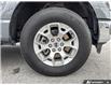 2025 Ford F-150 XLT (Stk: 20U2826) in Innisfil - Image 6 of 24