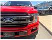 2019 Ford F-150 XLT (Stk: UT2273) in Kamloops - Image 8 of 13