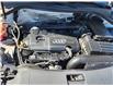 2017 Audi Q3 2.0T Progressiv in Ottawa - Image 9 of 11