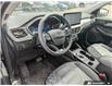 2023 Ford Escape Platinum (Stk: OFLP7403) in Oakville - Image 11 of 23