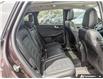 2023 Ford Escape Platinum (Stk: OFLP7403) in Oakville - Image 21 of 23