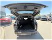 2026 Jeep Cherokee  (Stk: J23337) in Newmarket - Image 17 of 18