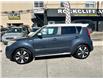 2014 Kia Soul Two-Tone Fathom Blue/White Special Edition (Stk: K076221) in Scarborough - Image 2 of 16 2014 Kia Soul Two-Tone Fathom Blue/White Special Edition (Stk: K076221) in Scarborough - Image 2 of 16