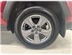 2024 Toyota RAV4 Hybrid XLE (Stk: 11106069A) in Markham - Image 14 of 31