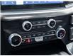 2023 Ford F-150  (Stk: 26F4299A) in Mississauga - Image 23 of 31