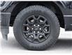 2024 Ford F-150 XLT (Stk: P1118) in Mississauga - Image 6 of 27
