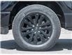 2026 Ford F-150 XLT (Stk: 26F8211) in Mississauga - Image 6 of 32
