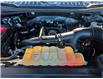 2020 Ford F-150  (Stk: F5401A) in Miramichi - Image 13 of 13