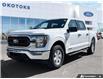 2023 Ford F-150 XLT (Stk: B89188) in Okotoks - Image 1 of 25
