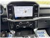 2026 Ford F-150 XLT (Stk: 6T060) in Williams Lake - Image 12 of 13