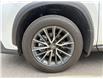2024 Lexus NX 350h Base (Stk: 10U6702) in Markham - Image 10 of 31
