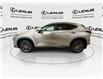 2025 Lexus NX 350h  (Stk: 14U7603) in Markham - Image 5 of 27
