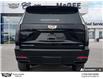 2026 Cadillac Escalade Sport (Stk: 246343) in Goderich - Image 4 of 28