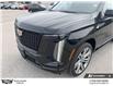 2026 Cadillac Escalade Sport (Stk: 246343) in Goderich - Image 11 of 28