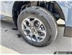 2026 Ford Maverick XLT (Stk: 0P6253) in Kamloops - Image 6 of 25