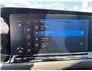 2024 Volkswagen Golf GTI 380 Autobahn (Stk: S713123B) in Cranbrook - Image 15 of 25