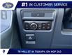 2026 Ford F-150 XLT (Stk: LFFF01881) in Tilbury - Image 9 of 15