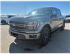 2026 Ford F-150 Tremor (Stk: T01819) in Hague - Image 4 of 14
