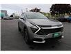 2024 Kia Sportage LX (Stk: PR87055) in Windsor - Image 9 of 27