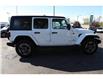 2023 Jeep Wrangler Sahara (Stk: PR38004) in Windsor - Image 7 of 27