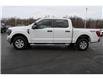 2023 Ford F-150  (Stk: TL15905) in Windsor - Image 2 of 27