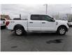 2023 Ford F-150  (Stk: TL15905) in Windsor - Image 7 of 27