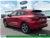 2024 Ford Escape ST-Line (Stk: L9186) in London - Image 4 of 13