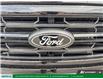 2025 Ford F-150 XLT (Stk: U16615) in London - Image 11 of 29