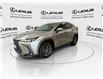 2022 Lexus NX 350h  (Stk: 14112637A) in Markham - Image 4 of 24
