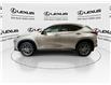 2022 Lexus NX 350h  (Stk: 14112637A) in Markham - Image 5 of 24